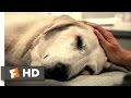 Marley & Me (5/5) Movie CLIP - You're a Great Dog, Marley (2008) HD