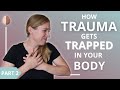How Trauma Gets Trapped In Your Body And Nervous System 2 3 
