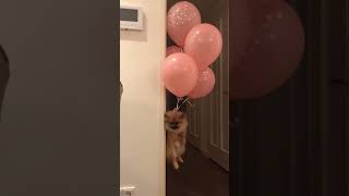 Up Up And Away!