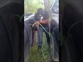 Hilarious #siphon #funny #hilarious #foryou #viral #throwback