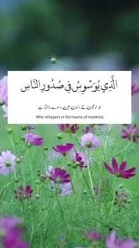 Surah An-Naas | Mishary Rashid Alafasy 🎙️#surahannaas #islamicshorts #surahannas #quran