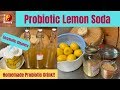 Probiotic Lemon Soda | Fermented Lemonade | Enzymatic Cleaners
