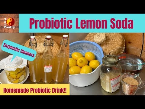 Probiotic Lemon Soda | Fermented Lemonade | Enzymatic Cleaners