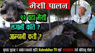 नेपालमा भैसी पालन वाट पनि राम्रो आम्दानी । भैसी पालन कसरी गर्ने | Buffalo farm in Nepal