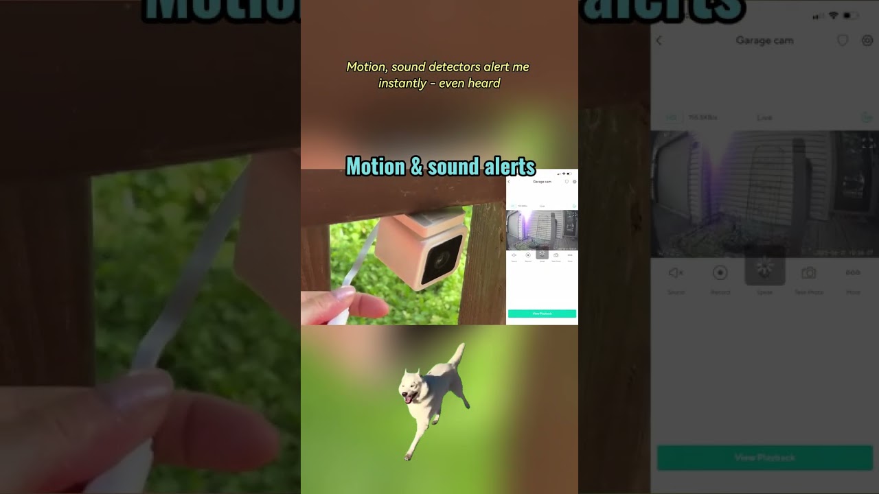 When Your Smart Plug Has More Surveillance Skills Than Your Cousin