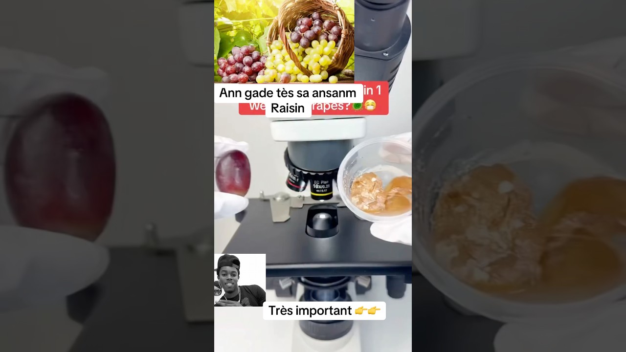 Sheldon Explica El Problema De La Mesa Del Comedor Shorts - YouTube Auto PHP Script