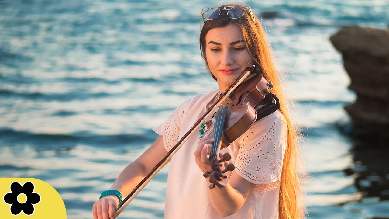 relax music bgm channel Meditation Music, Relaxing Music for Stress Relief, Classical Music for Relaxation, ♫E216D