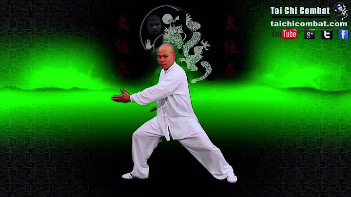 Tai chi for beginners  - Yang Basic 8 step