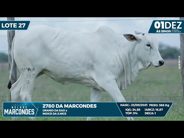 LOTE 27   MMAR 2780