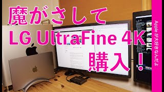 今更！Apple準純正「LG UltraFine 4Kディスプレイ」購入！圧迫感がなくていい！つい魔がさしてしまいました