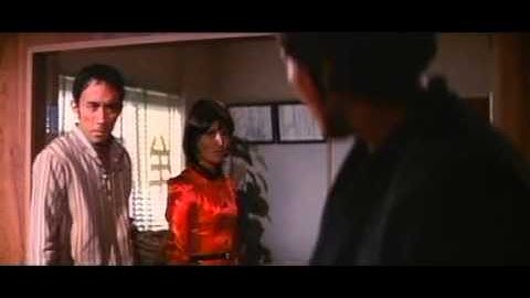 Уличный боец 1974The Street Fighter