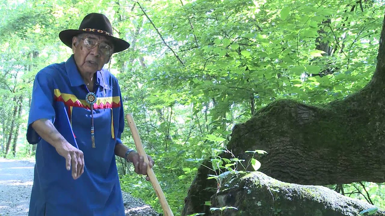 Mystery of the Trees Trailer YouTube