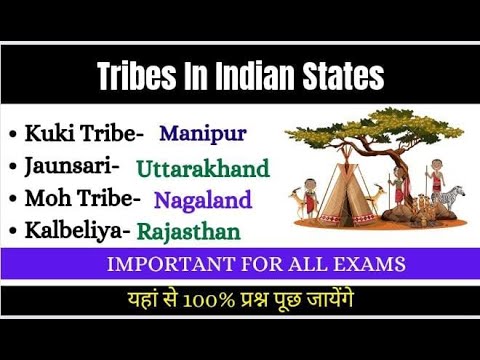 Tribes In India MCQs | State Wise Tribes 🌴 | भारत के जनजातीय | Tribes Of India Gk MCQ |