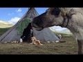 Tsataan - reindeer herders of Mongolia (Trans Mongolian route)