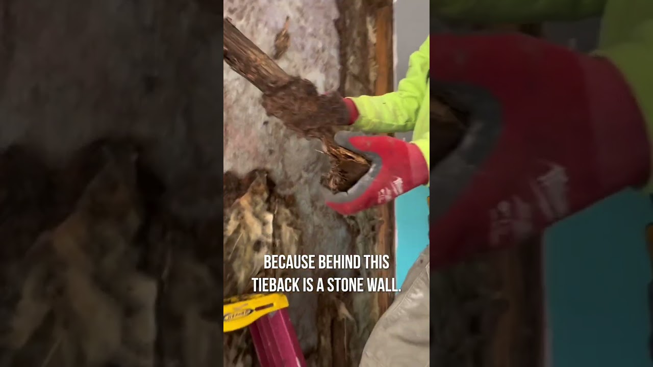 🚧🐜 Battling Termites and Time at 221 Construction!