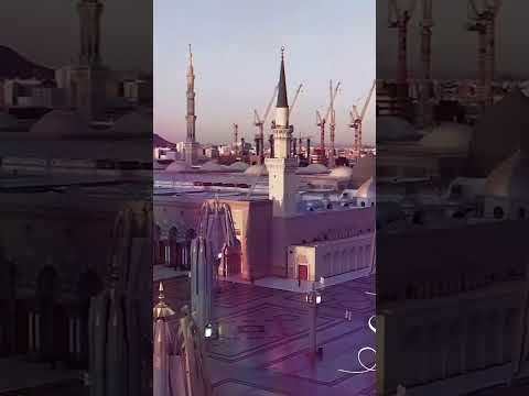 ادخل من باب السلام بتأدب واحترام