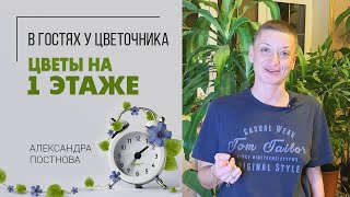 Навожу порядок на 1 этаже | Часть 1 | Пересадка растений