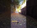 Golden Path
