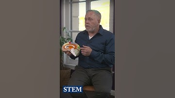 Global Themed Trailer | Georgetown University Pre-College Online Program | V15