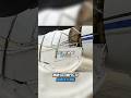 Man Arrested After Attempting To HIJACK A Plane 😳