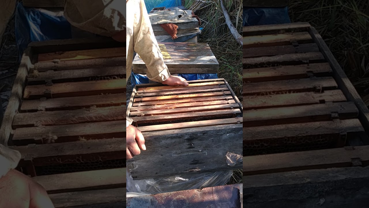 رد على تعليق المتابعين على علاج تكيس الحضنه