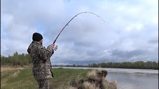 Рыбалка на севере, непонятный инцидент с местными (описание под роликом)