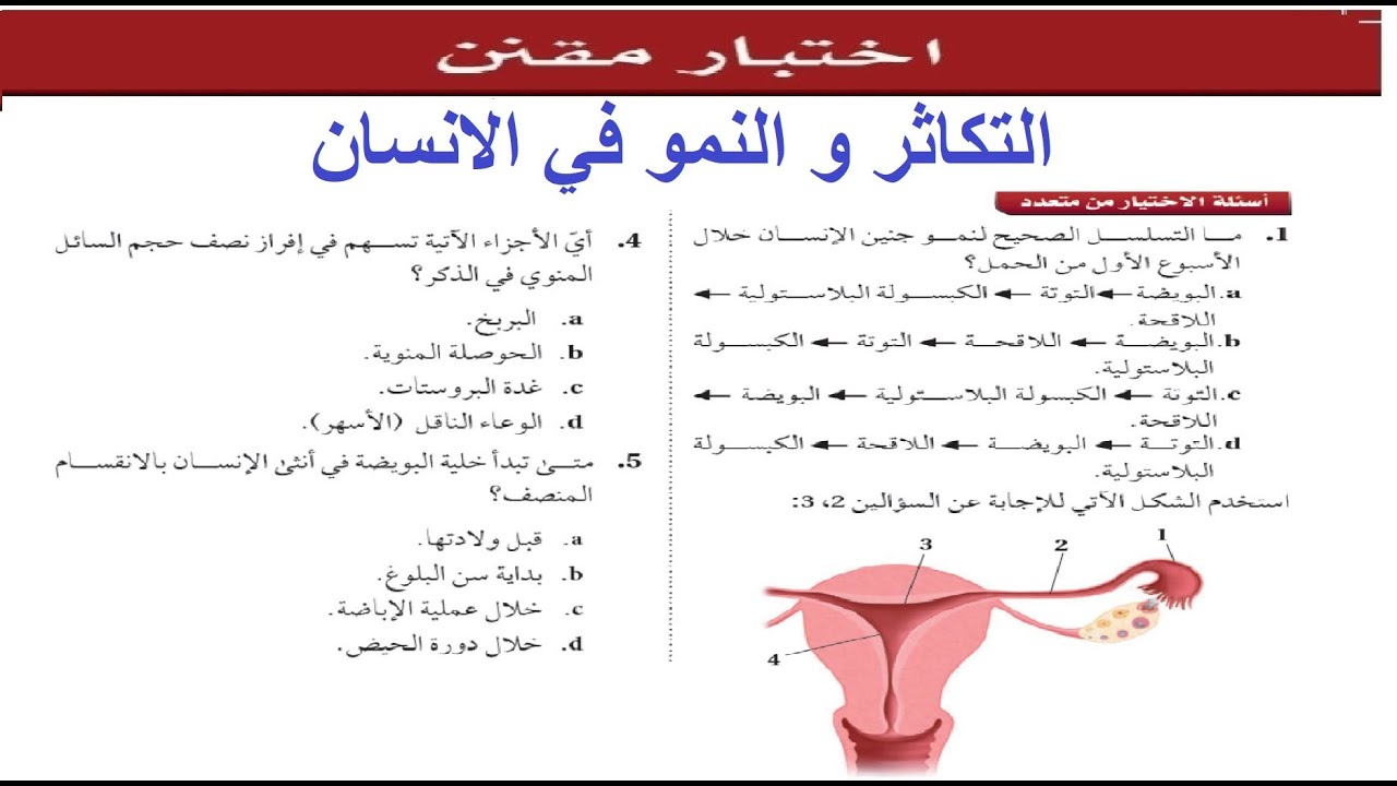 حل الاختبار المقنن باب ( التكاثر و النمو في الانسان )