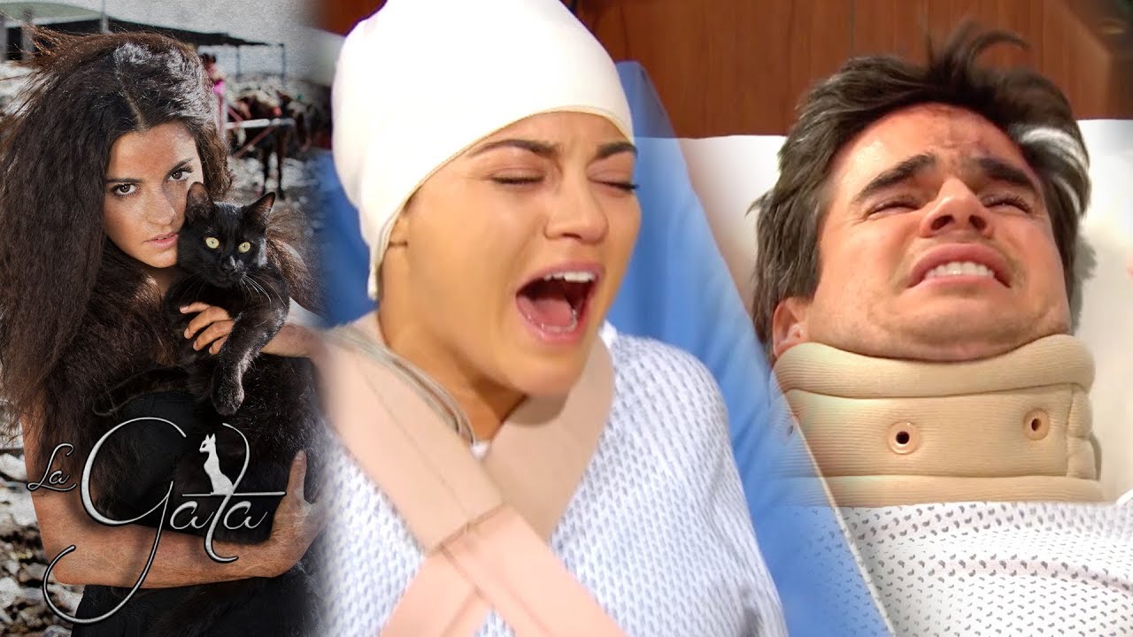 La Gata - Capítulo 36: ¡Esmeralda queda LISIADA! | Tlnovelas