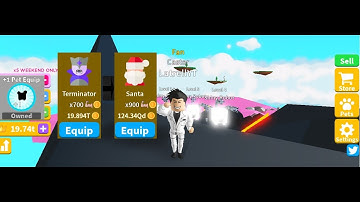 ROBLOX Saber Simulator | Buying +1 Pet Equip | Terminator to Santa Class