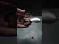 Мега шоколадные пирожные из 3 ингредиентов: