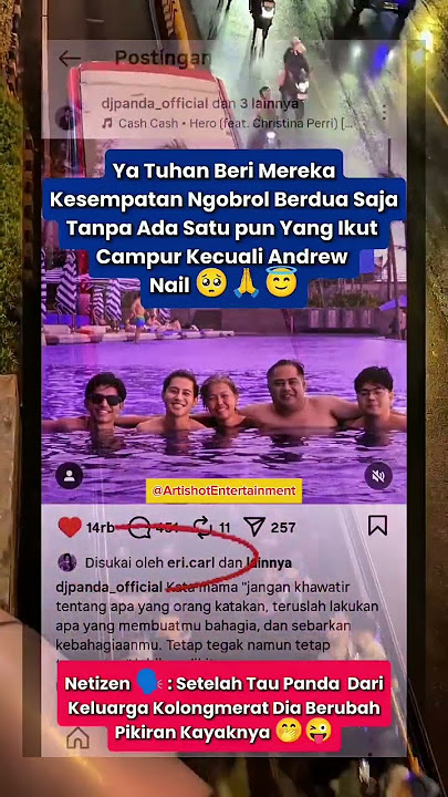 Netizen Heboh! DJ Panda Dukung Erika, Fakta Baru Terungkap #djpanda #viral #trending #shortvideo