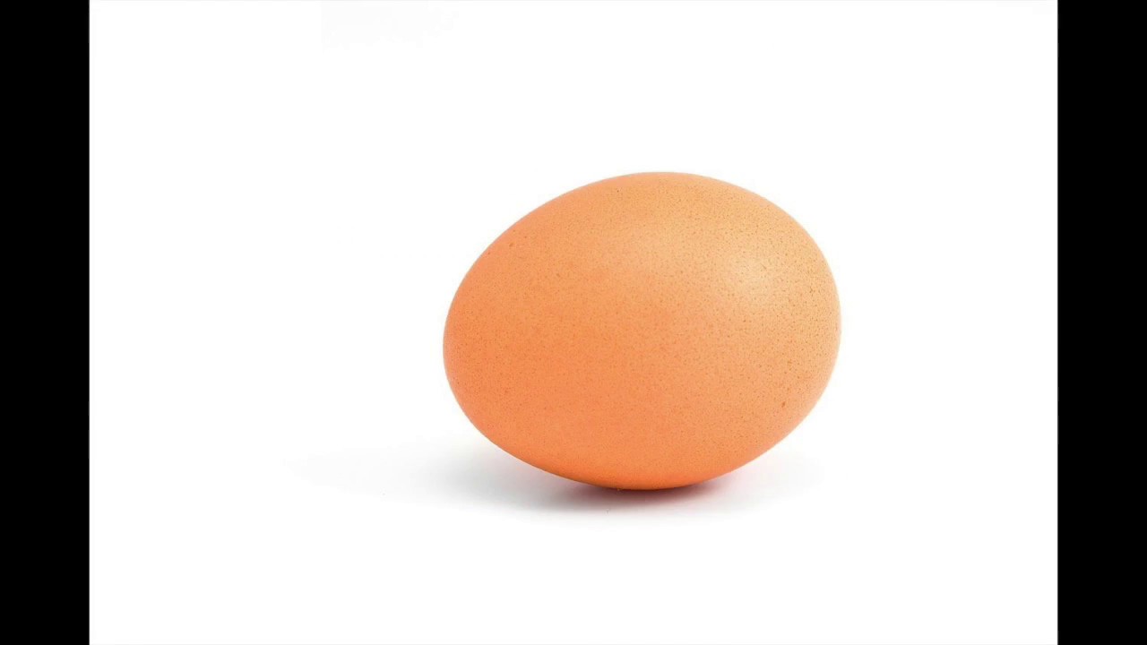 Thy Beauty Bag - WHY THY not THE