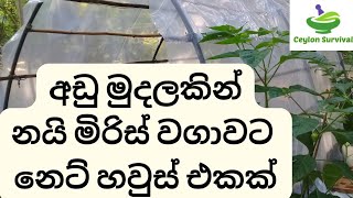 Low cost net house for soctch bonnet cultivation /නෙට් හවුස් එකක් හදමු /.Ceylon Survival .