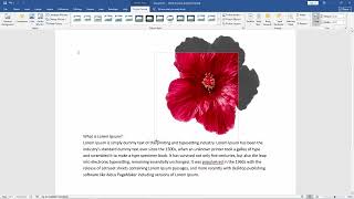 How to Crop a Picture in Microsoft Word Document (Quick & Easy)