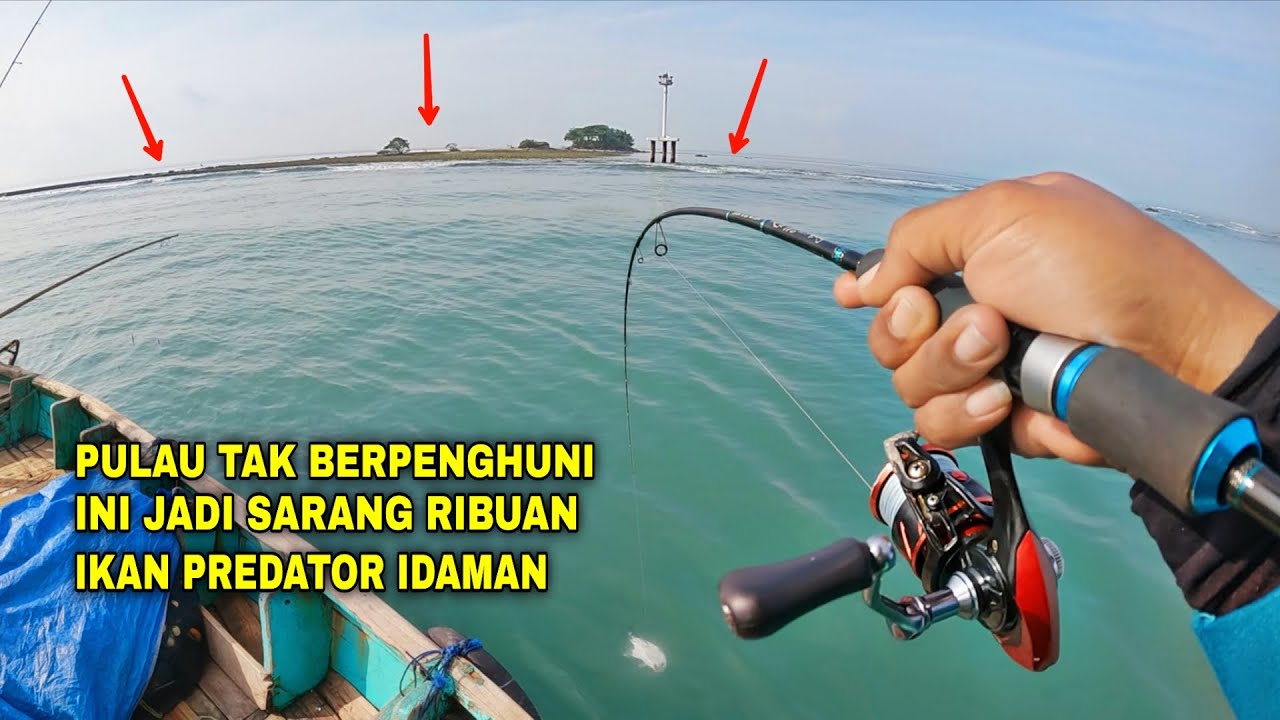 PANEN BESAR🔥‼️GAK BANYAK YANG TAU KALO DI PULAU INI BANYAK DIHUNI IKAN PREDATOR IDAMAN PEMANCING🔥