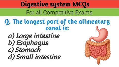 Digestive system mcq questions | humandigestive system | biology mcq for allcompetitive exam