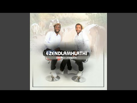 IZINKINGA ZOMNDENI
