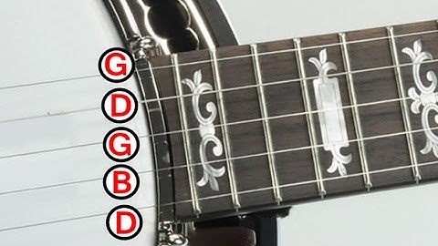 5 String Banjo Tuner