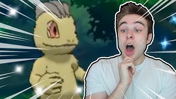 LIVE FULL ODDS SHINY MACHOP IN ONLY 38 HORDES! LIVE SHINY POKEMON REACTION!