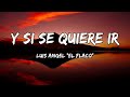 Luis Angel El flaco - Y Si Se Quiere Ir [LETRAS]