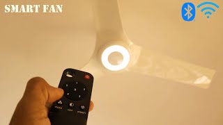 Best Smart Ceiling Fan? - Atomberg Aris Starlight (Made in India)