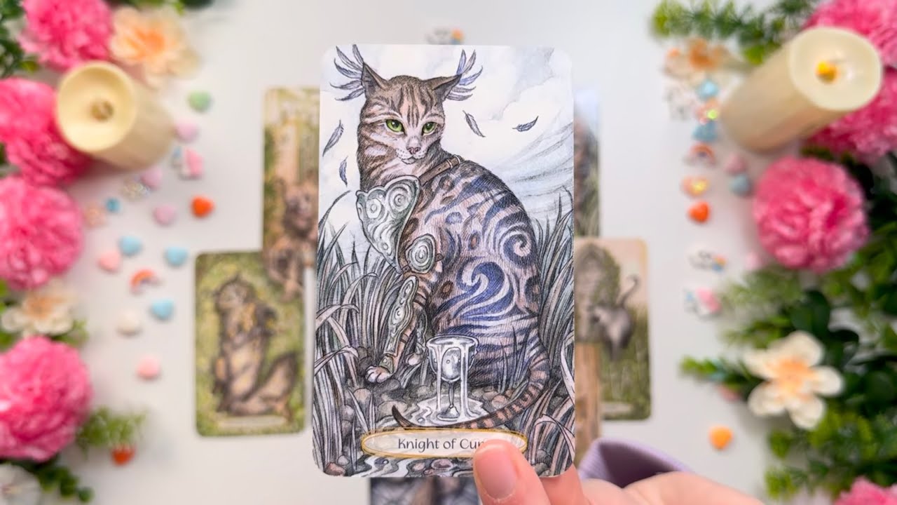 LEO💚LAS CARTAS REVELAN ALGO! ALGUIEN TE BUSCA CON ESTA INTENCION LEO ...