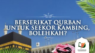 Berserikat Kurban untuk Seekor Kambing, Bolehkah?