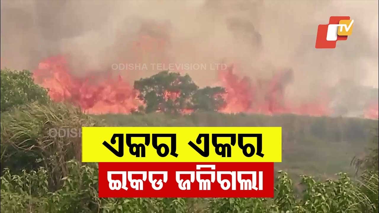 Acres Ablaze Before Their Eyes: Farmers Watch a Year’s Hard Work Turn to Ashes