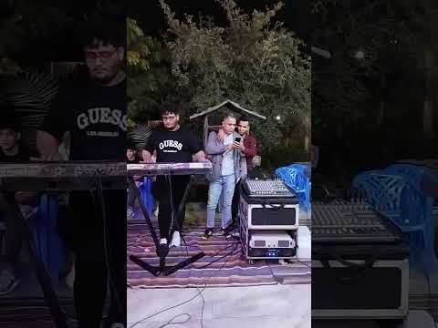 کفتر کاکل به سر مجتبی معین