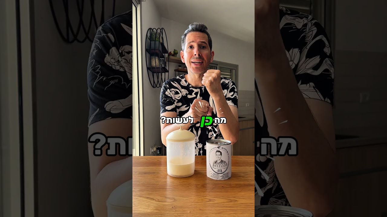 חייבים להציל את החתולים!