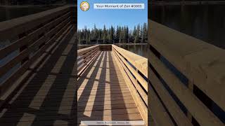 ScienceMan Moment of Zen 0865 #peaceful #walk #hike #forest #nature #beautiful #trees #asmr