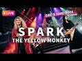 【LIVEカバー】SPARK - THE YELLOW MONKEY（ハイトーン女性ボーカル / Female Vocal / Hard Rock cover）#イエモン