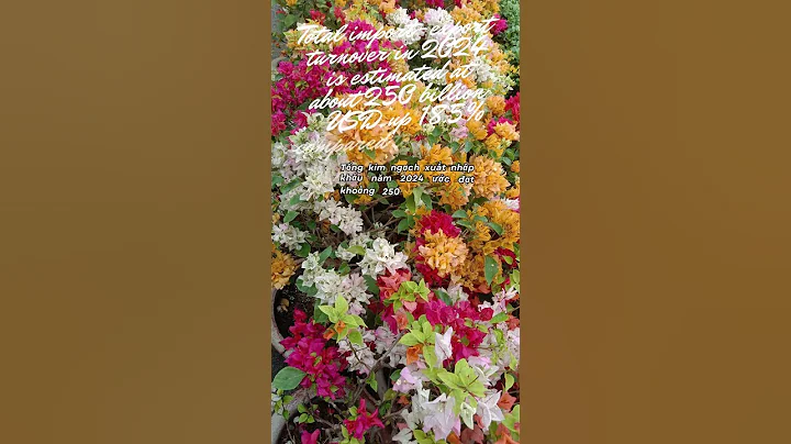 Vietnam's Import Export Growth To European And American Markets In 2024 #export#usa #europe #xnk#vn