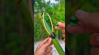 Pure Bamboo Creations With Slingshots #Diy #Craft #Art